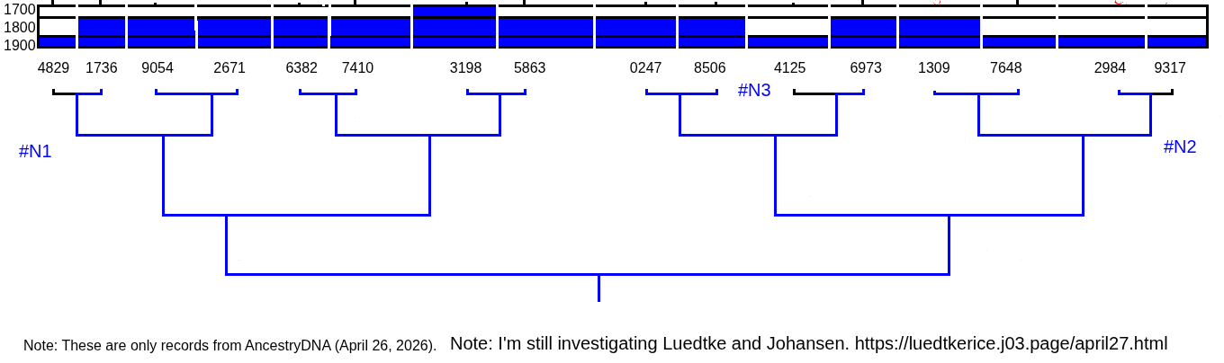 Research branch chart showing believed confirmed family tree branches for the Luedtke and Rice research project